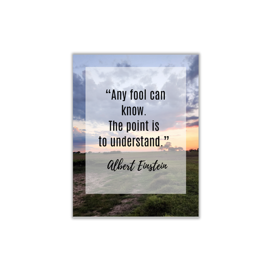 Quote: Any fool can know.  The point is to understand. - Albert Einstein